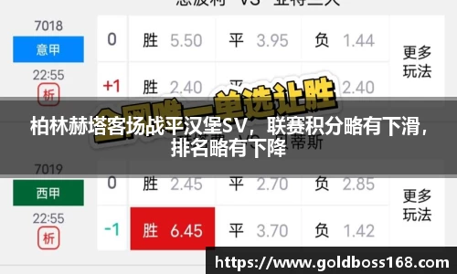 3377体育APP